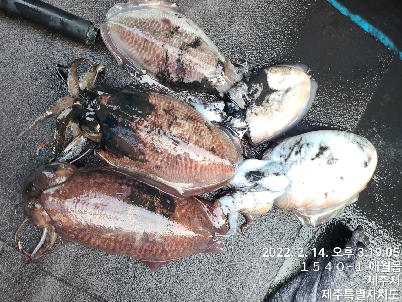 o_1frtgimstr1n6cc19akkulplt.jpg