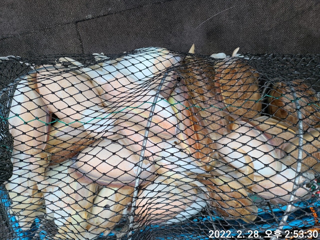 o_1ft1gl05s190u1nkbcjso223721s.jpg