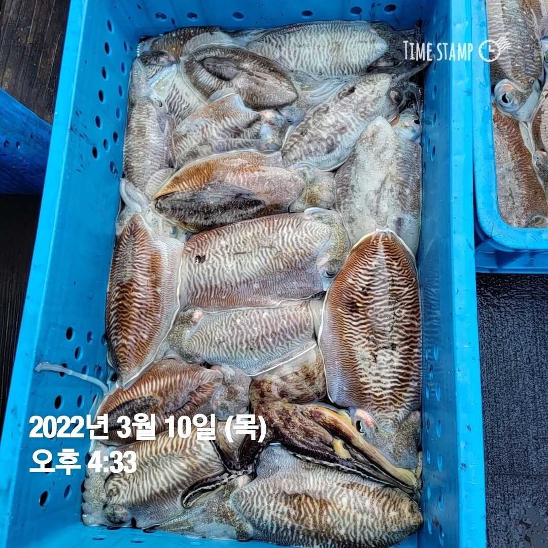 o_1ftr81eoa112l1t31p2qps5hhg13.jpg
