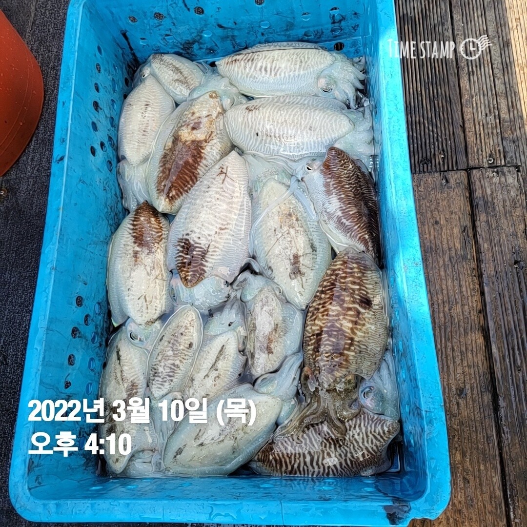 o_1ftr81eoa8kn1foe15kop521tke10.jpg
