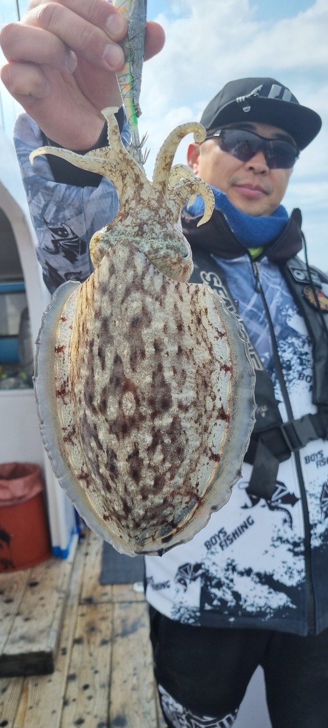 o_1ftttgquh1kpvn4722sqbfu1618.jpg