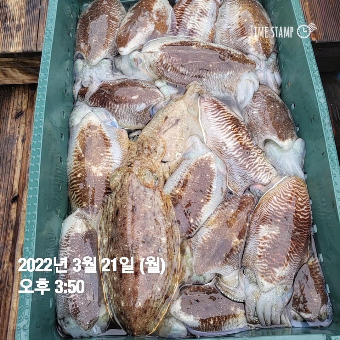 o_1fungpbuk163jt30jf46mv1ra71l.jpg