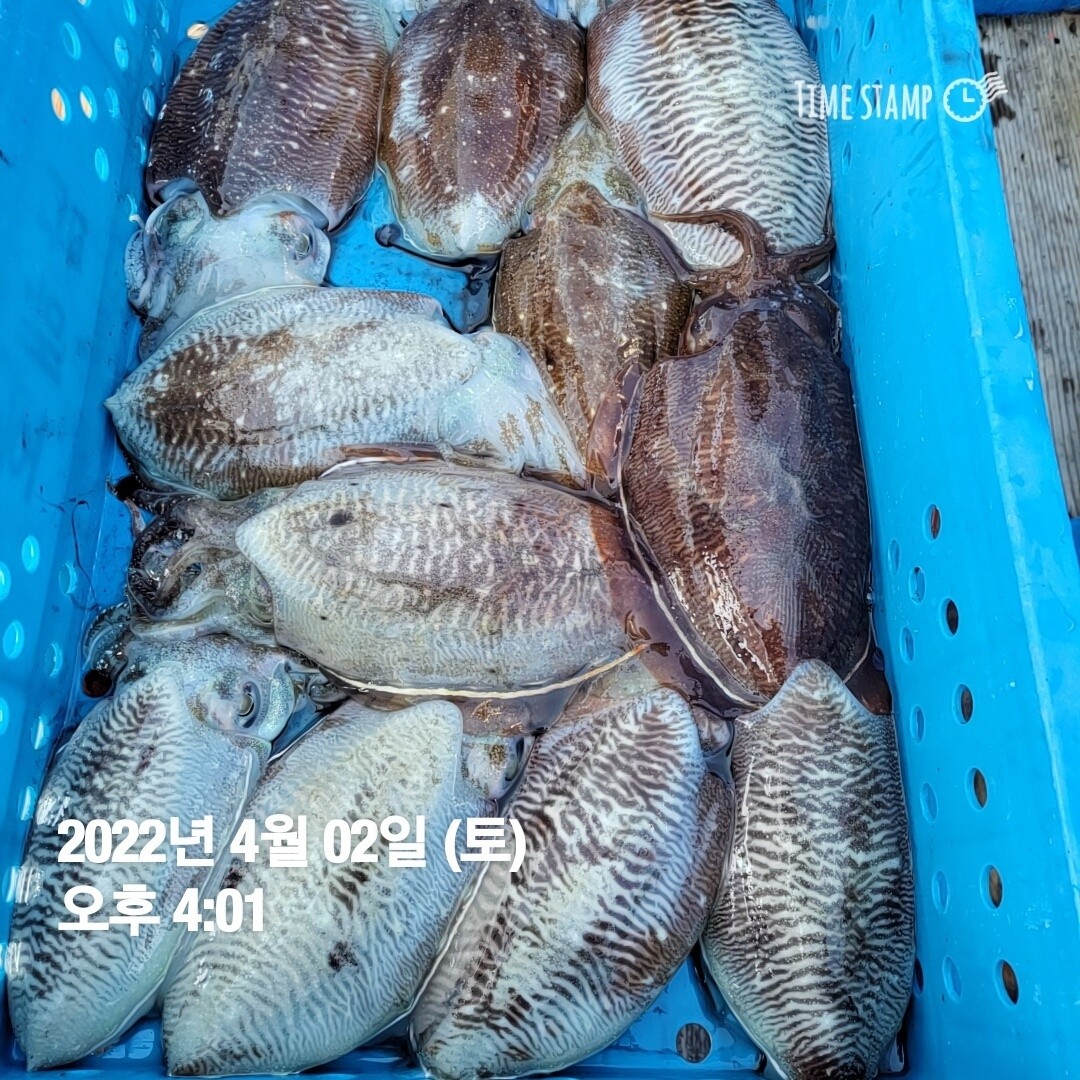 o_1fvmj1p921s7v1ko5nn2otl1hns14.jpg