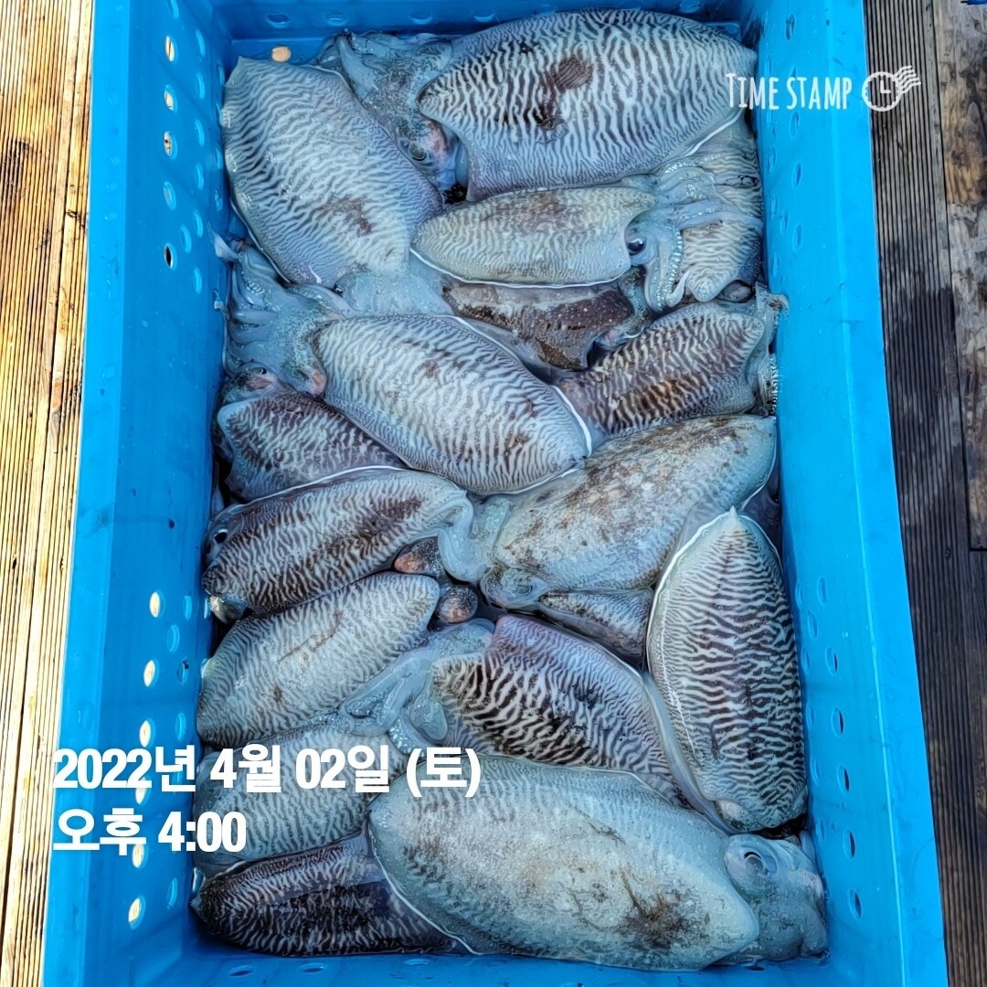 o_1fvmj1p921ulb5pk160lq6lhed15.jpg