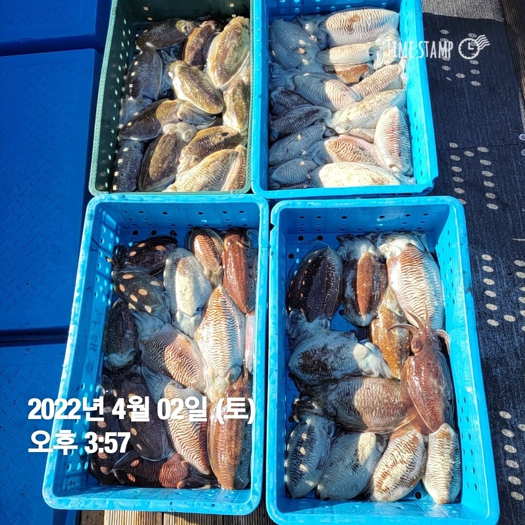 o_1fvmj1p92f47flt1a521q8r1hmf17.jpg