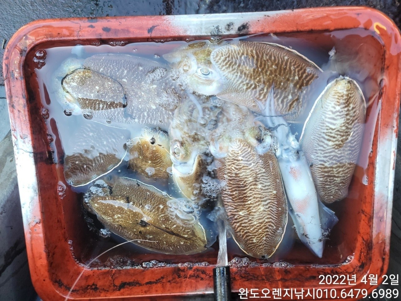 o_1fvn1o1os1mbo10jk1g0o154g166k1b.jpg