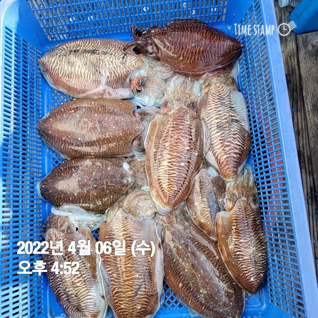 o_1g00qg7ebpjnosm1fjr865kpj19.jpg