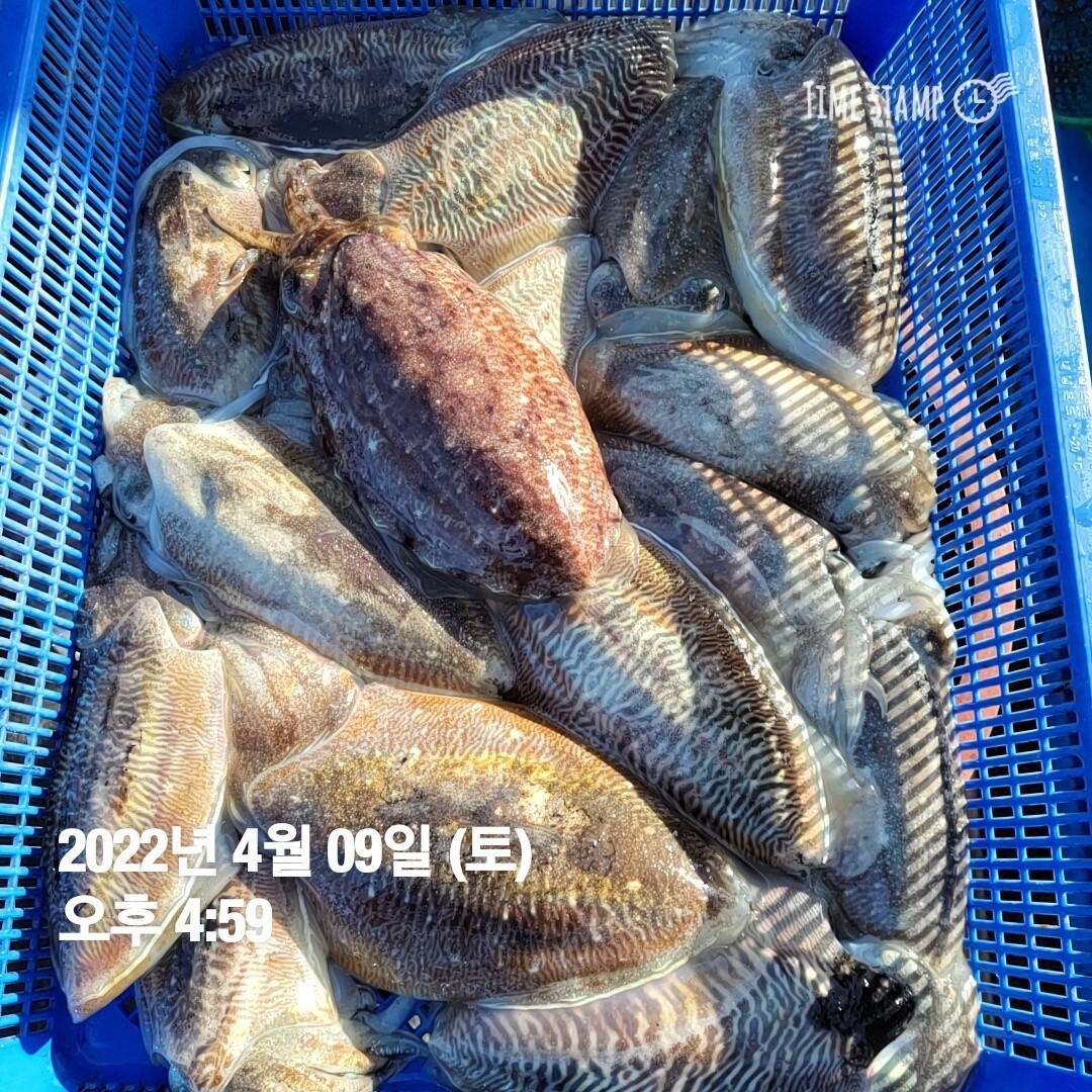 o_1g08ig83214ei1unntq61tn3kpe1k.jpg