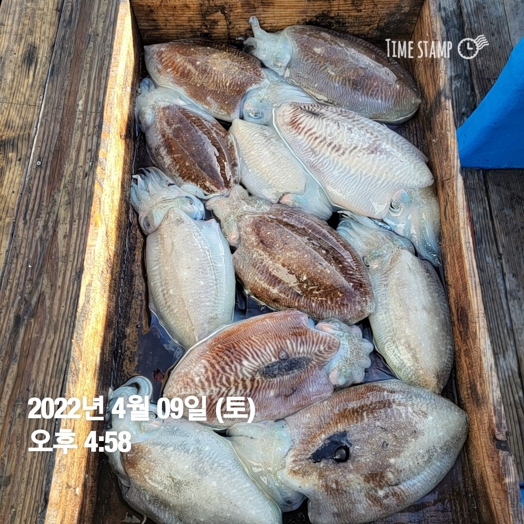 o_1g08ig8321iiu1jnf1q3j100niks1a.jpg