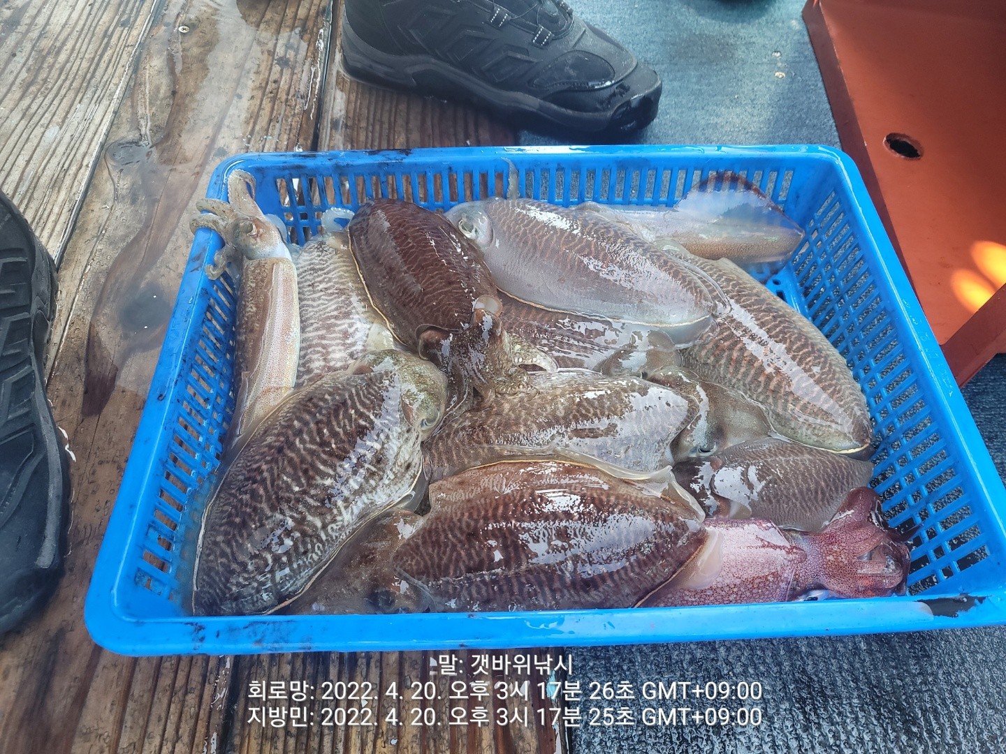 o_1g1583424ts1k381lns1cosbjom.jpg