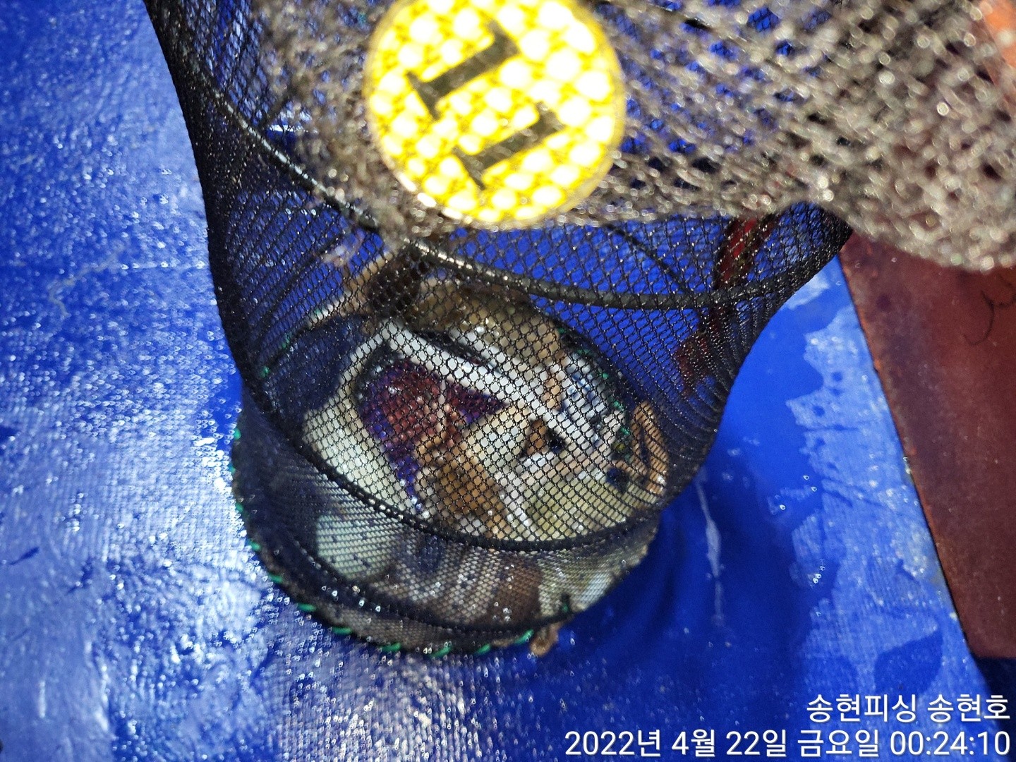 o_1g17akvo1chnti616531nnt1c6g10.jpg