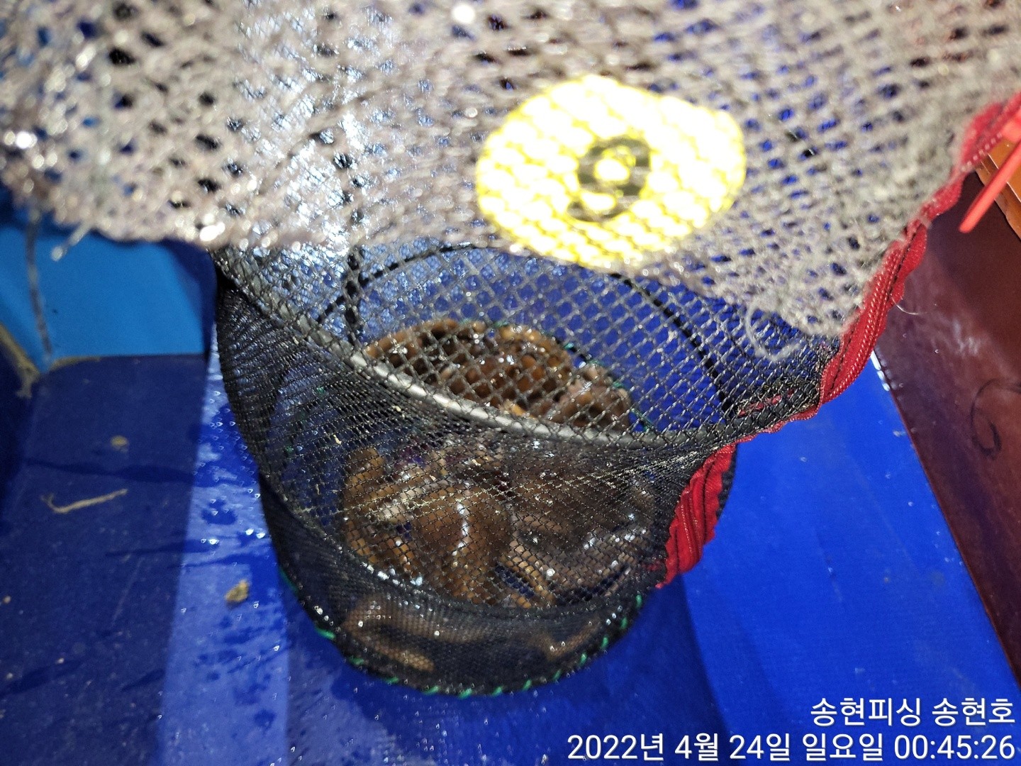 o_1g1cj4ucb14qnb391lst1ma7dsa1f.jpg
