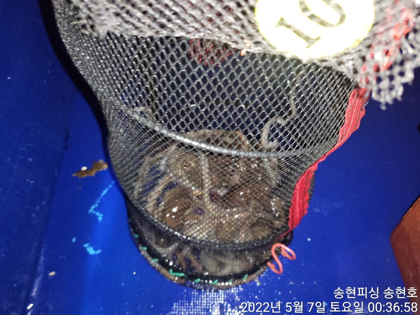 o_1g2e3ch2vias19hc1851deb1jrv1b.jpg