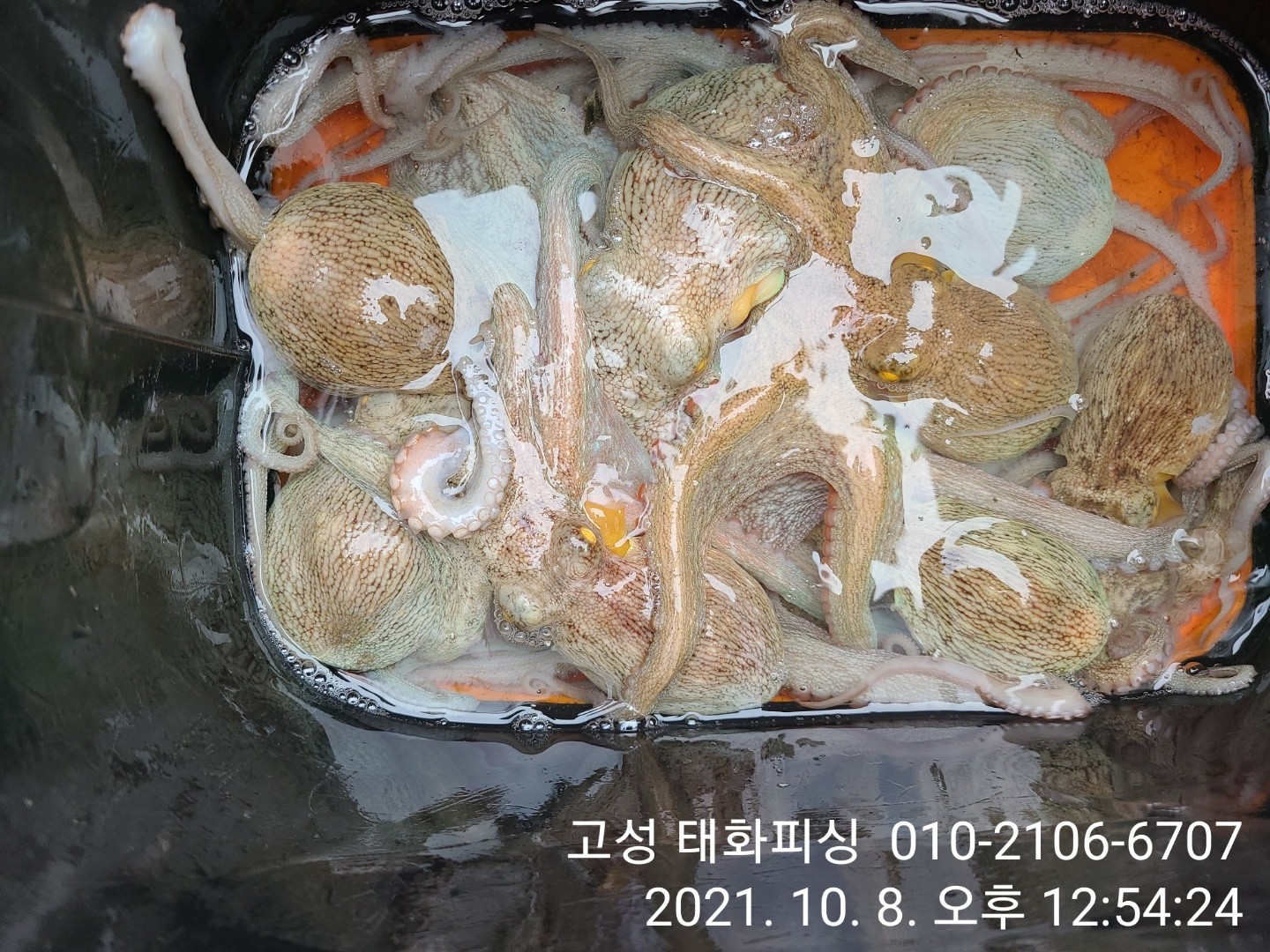 o_1g2ln6uvvsjj1epb1mt72h31ghuo.jpg