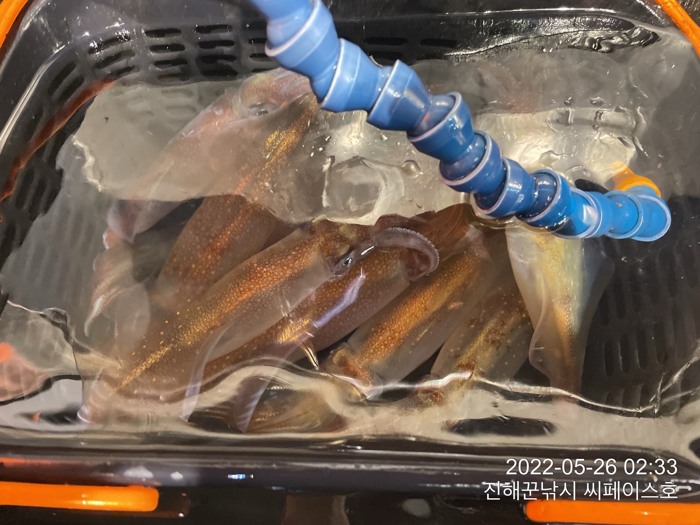 o_1g3usmjgee2ul456ri2tdb4012.jpg