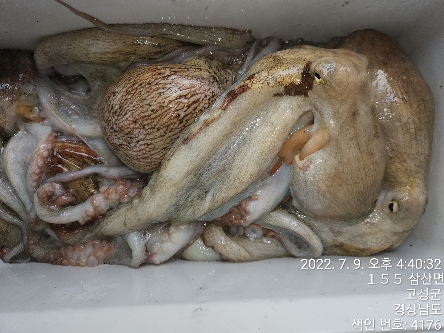 o_1g7h0773ij9rj1r1sarve7hkd21.jpg