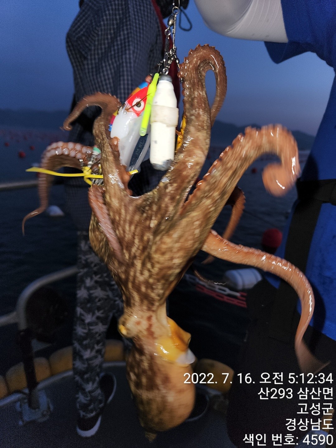 o_1g82t108jpiuq3q1tss1sapc0517.jpg